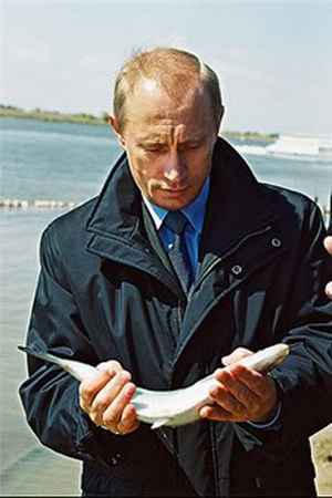 психология ожирения